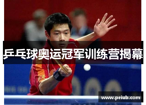 乒乓球奥运冠军训练营揭幕
