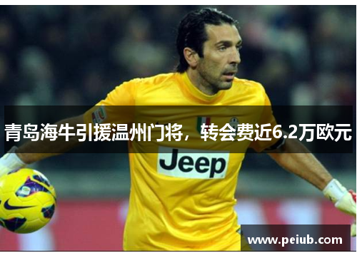 青岛海牛引援温州门将，转会费近6.2万欧元